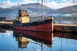 Basking in the Autumn Sun