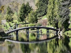 Japanese Garden Bridge
