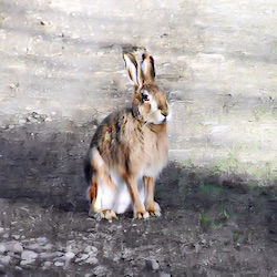 Keeping His Eye on Me