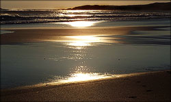 Midsummer Reflection