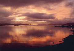 A Shepherd's Warning