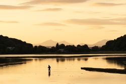 The Last Catch of the Day